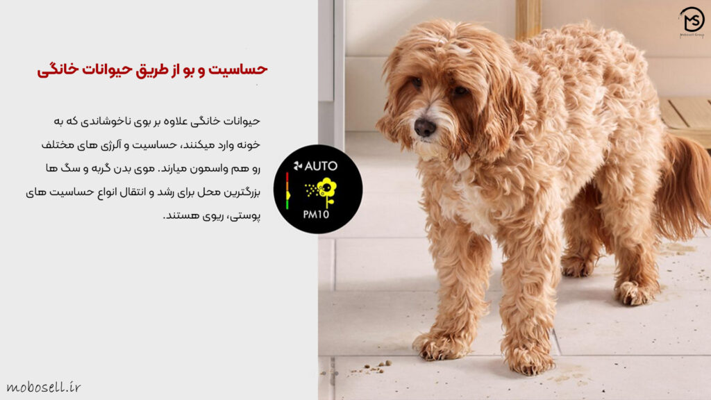 حساسیت ناشی از حیوانات